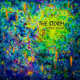 The Storm P.O.D. cover